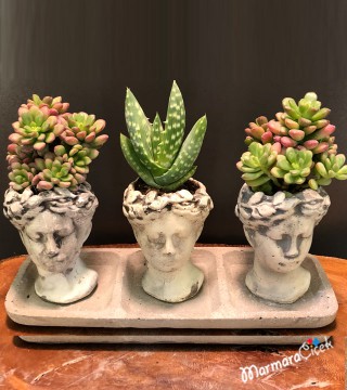 Heykel Saksıda Üçlü Kaktüs
