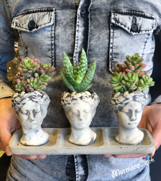 Heykel Saksıda Üçlü Kaktüs