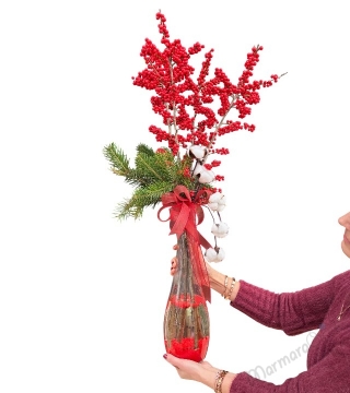 İlex Yılbaşı Çiçeği