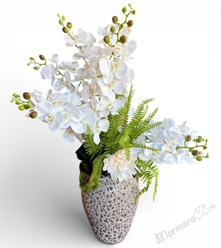 Asil Dokunuş Yapay Orkide