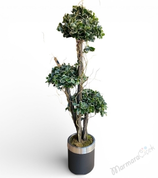Pittosporum 3’lü Bonsai Yapay Saksı Çiçeği