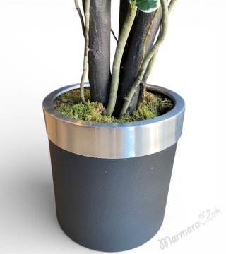 Pittosporum 3’lü Bonsai Yapay Saksı Çiçeği