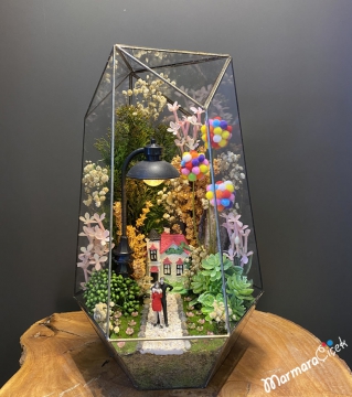 Terrarium piante miste grande - Signorelli flowers & coffee