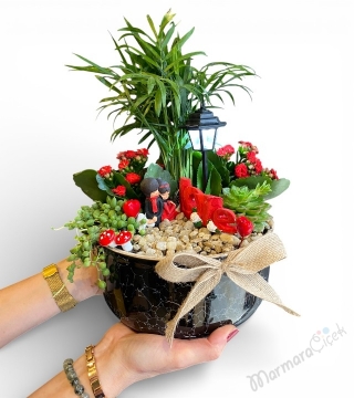 Işıklı Romantik Teraryum