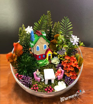 Mini Bahçe Teraryum