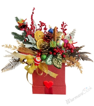 Kırmızı Yılbaşı Masalı 