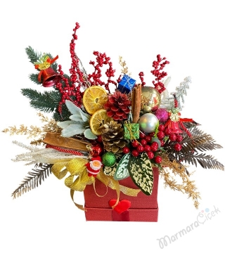 Kırmızı Yılbaşı Masalı 