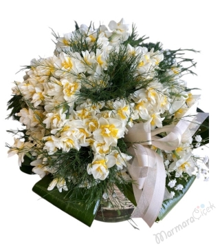 Kokulu Nergis Aranjman