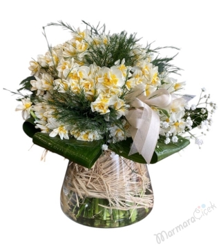 Kokulu Nergis Aranjman