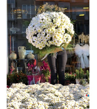 Armful of Daisies Bouquet