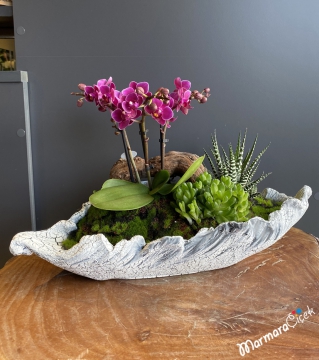 Mini Orkideli Teraryum
