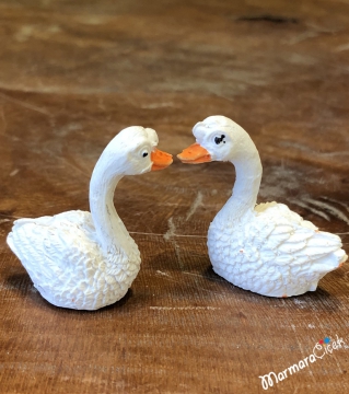 Minyatür Çift Ördek