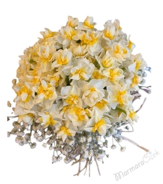 Mis Kokulu Nergis ( Narcissus ) Aranjman