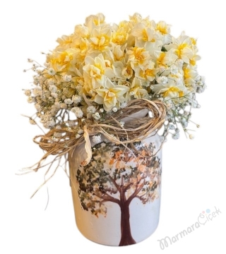 Mis Kokulu Nergis ( Narcissus ) Aranjman
