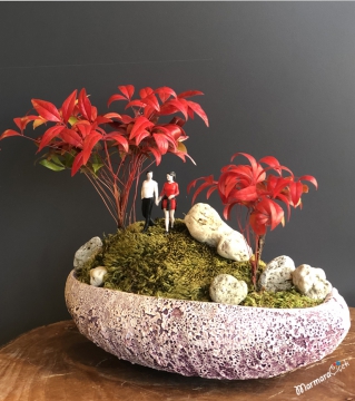 Nandina Bonsai