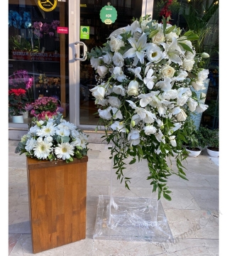  Nikâh Kürsü Çiçeği