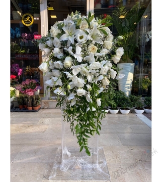  Nikâh Kürsü Çiçeği