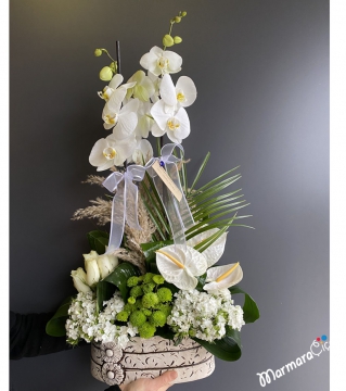 Beyaz Orkideli Aranjman