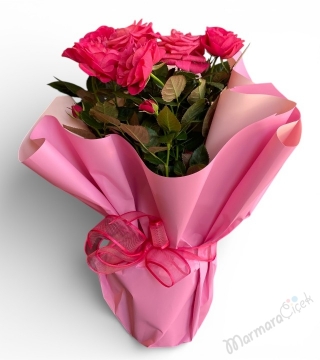  Saksıda Kokulu Pembe Gül 