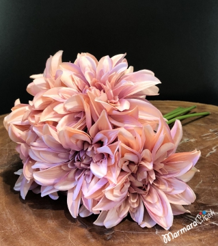 Pembe Yıldız Çiçeği