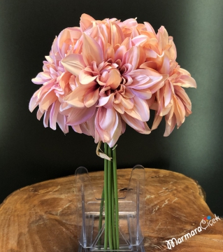 Pembe Yıldız Çiçeği