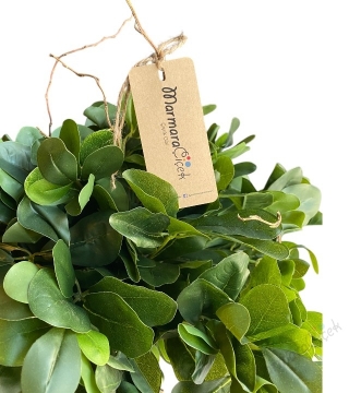 Pittosporum 3’lü Bonsai Yapay Saksı Çiçeği