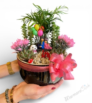 Romantik Canlı Teraryum