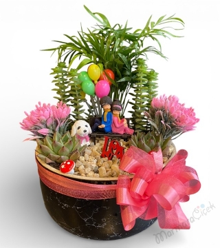 Romantik Canlı Teraryum