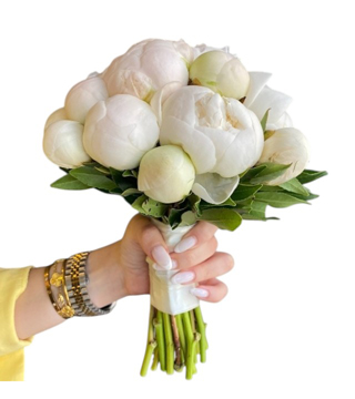 Şakayık Paeonia Gelin Çiçeği