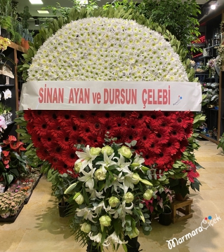 Büyük Tabut Üstü Çiçeği