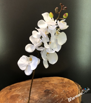 Tek Dal Yapay Beyaz Orkide 