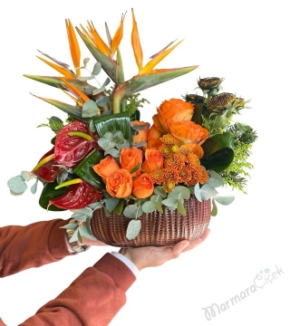 Tropikal Çiçek Tasarım 