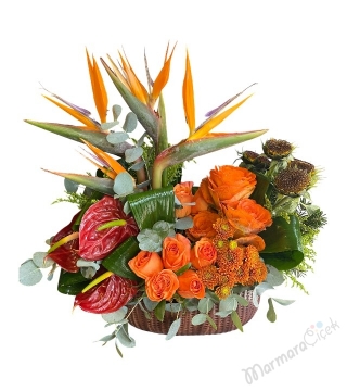 Tropikal Çiçek Tasarım 