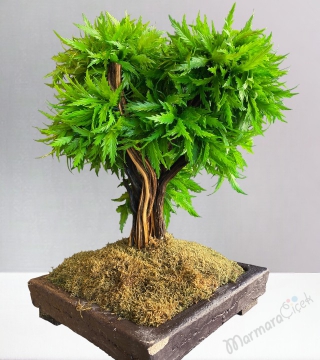 Yapay Bonsai Ağacı