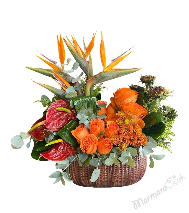 Tropikal Çiçek Tasarım 