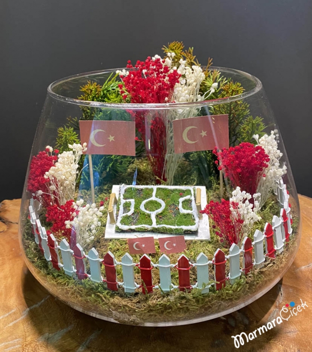 Turkey Terrarium