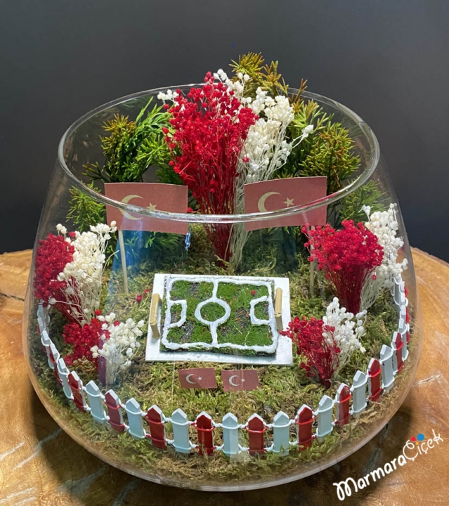 Turkey Terrarium