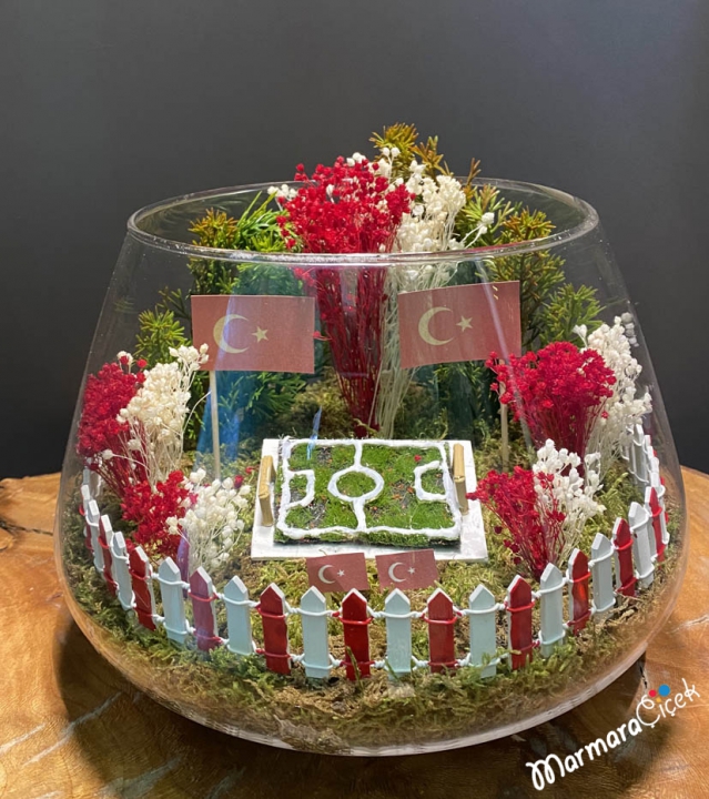 Turkey Terrarium