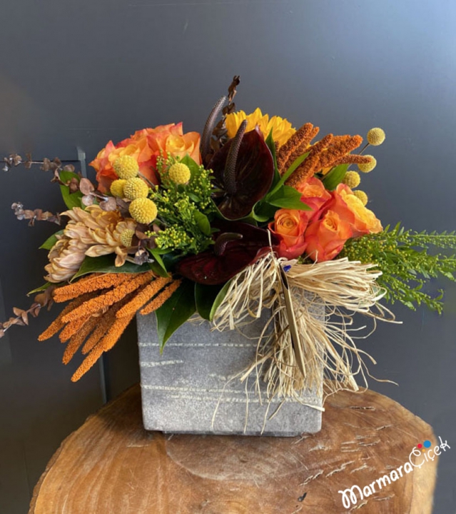 Arrangement of Orange Temperature