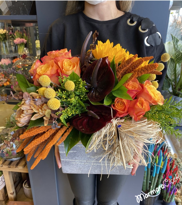 Arrangement of Orange Temperature
