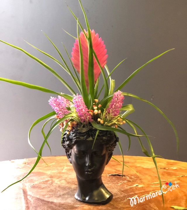 Heykel Saksıda Tillendsia