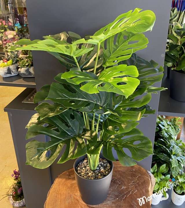 Artificial Monstera Plant