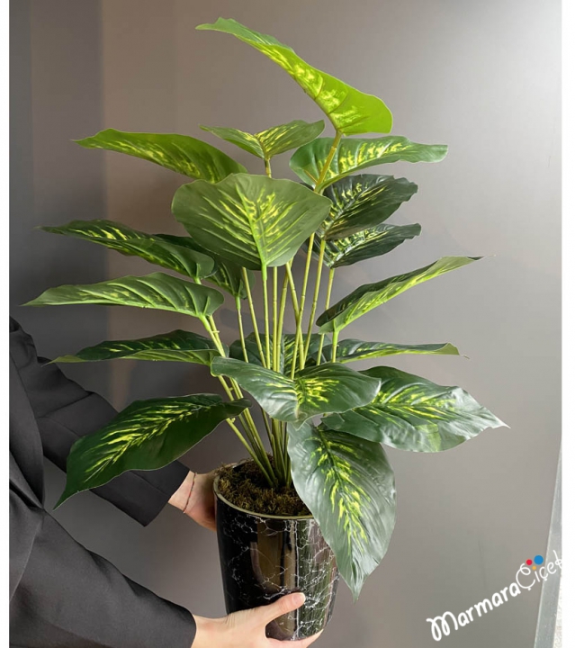 Artificial Dieffenbachia