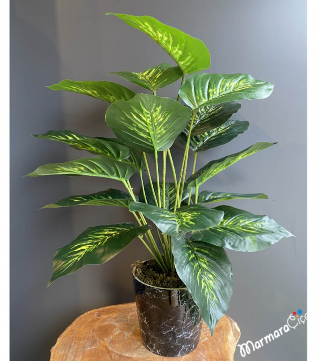 Artificial Dieffenbachia