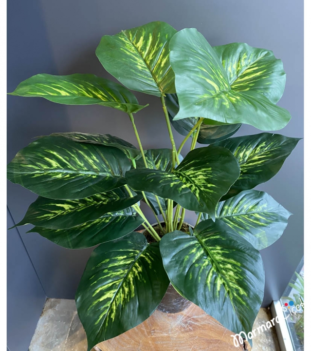 Artificial Dieffenbachia