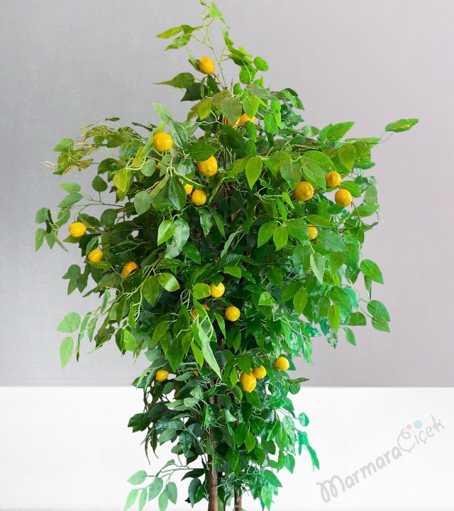 Artificial Lemon Tree