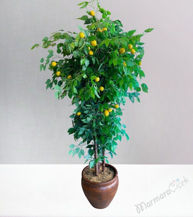 Artificial Lemon Tree