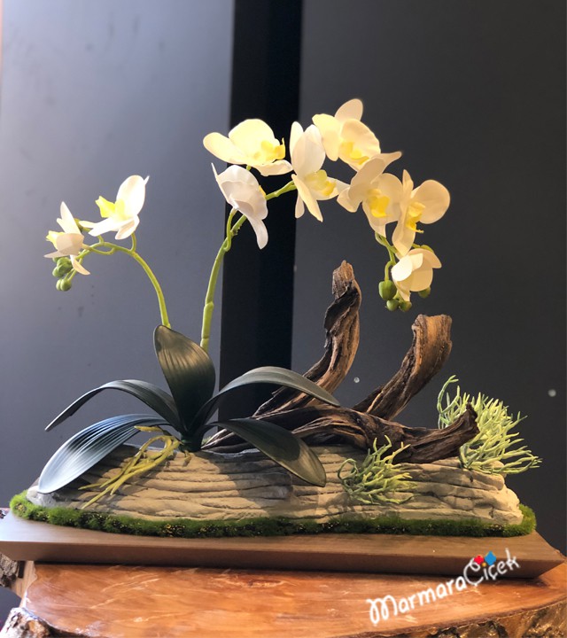 Yapay Orkide Tasarım