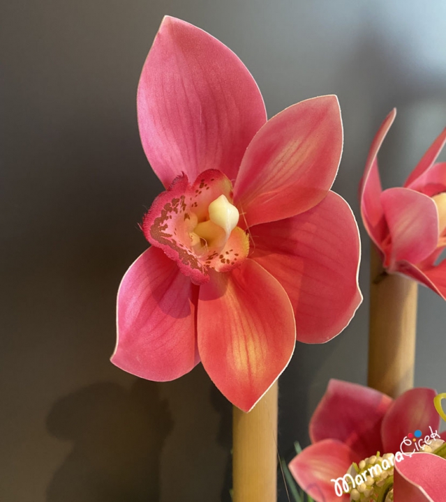 Yapay Orkide Çiçek Tasarım 