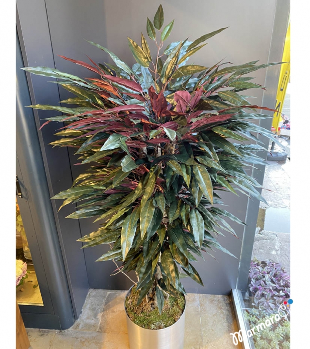 Artificial Colorful Mango Tree